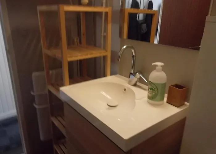 Les Myrtilles A Au Pied Des Pistes *